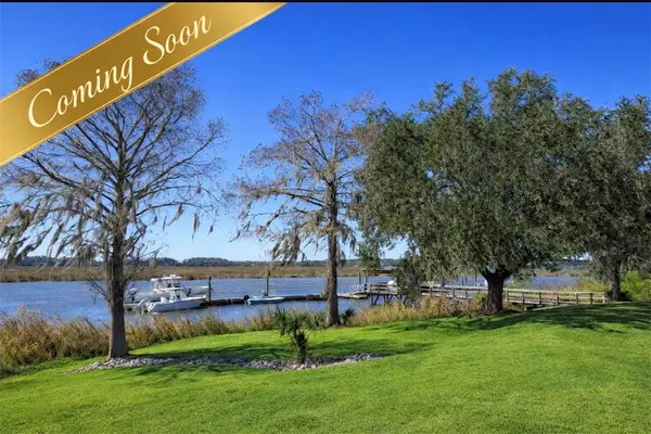 101 Cathead Lane, Darien, GA 31305