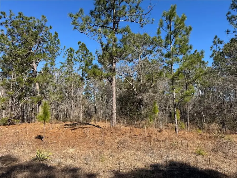 00 N Morningside Drive, Vidalia Lyons, GA 30474 - #2