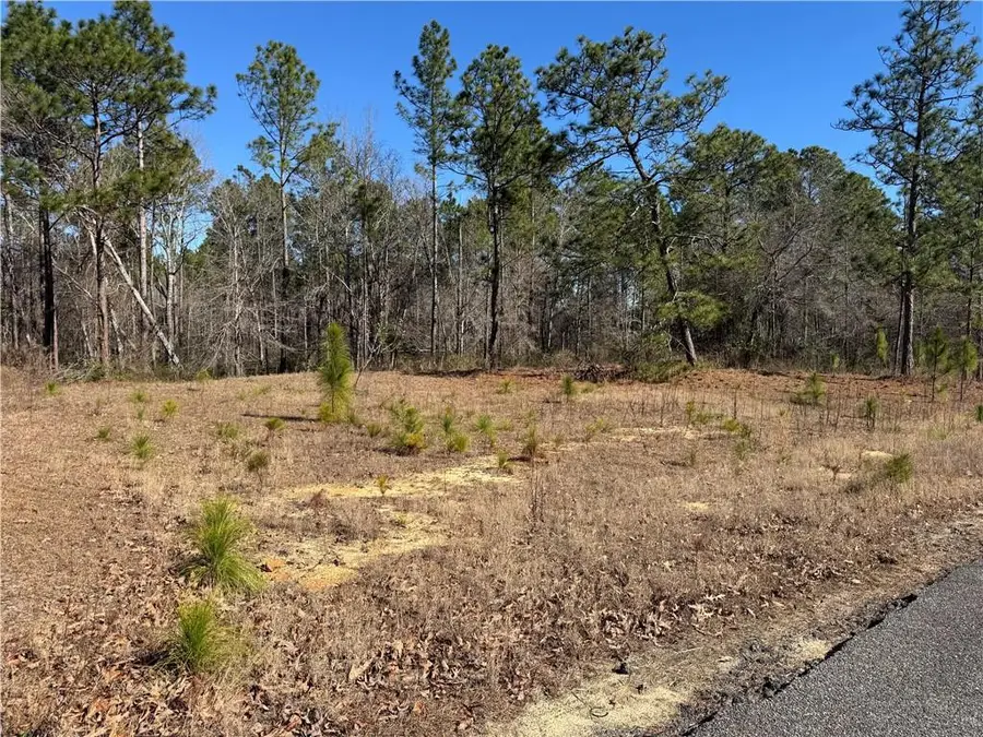 00 N Morningside Drive, Vidalia Lyons, GA 30474 - #3