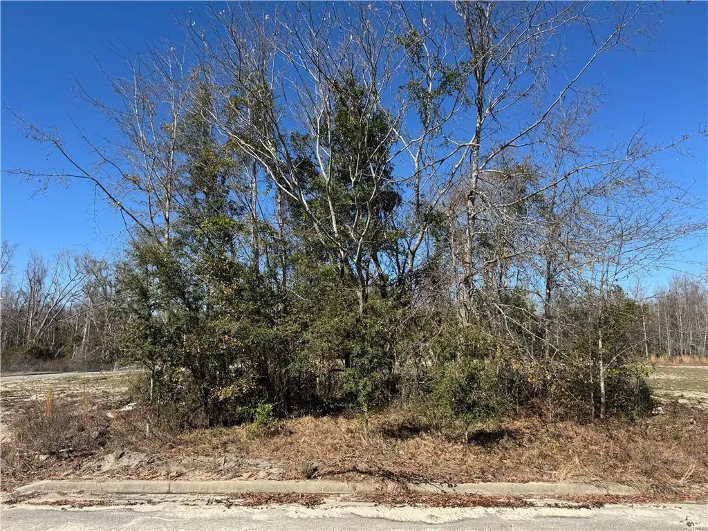 00 Meadowbrook Street, Vidalia, GA 30474 - #1