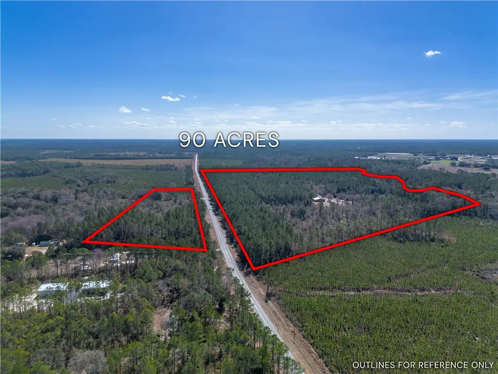 12321 Highway 185, Saint George, GA 31562 - #1