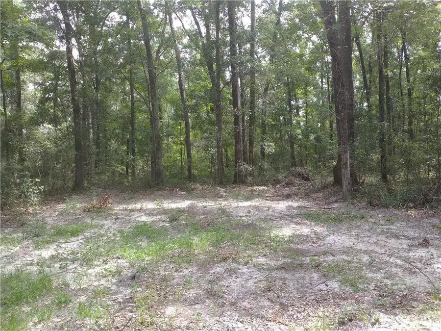 1046 NE Harmony Hill Lane #13, Townsend, GA 31331 - #2