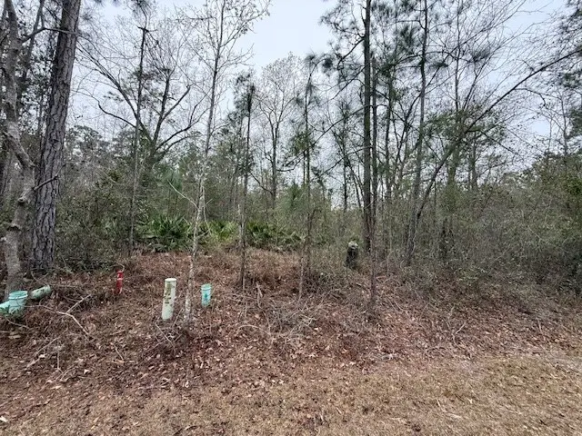 V/L Lot 104 Satilla River Landing, Woodbine, GA 31569 - #1