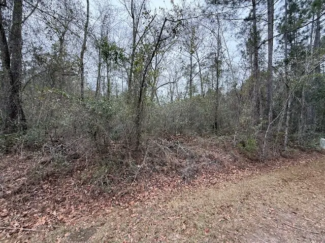 V/L Lot 104 Satilla River Landing, Woodbine, GA 31569 - #2