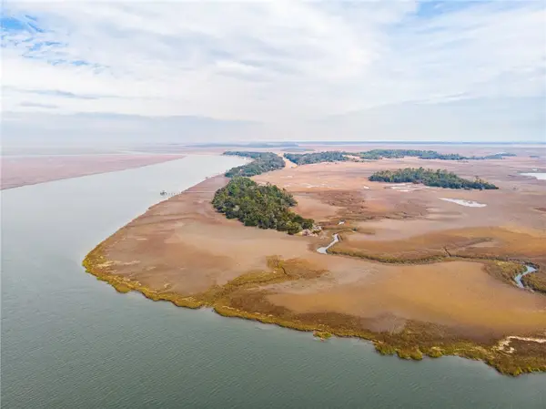 0 Lower Barbour Island, Townsend, GA 31331