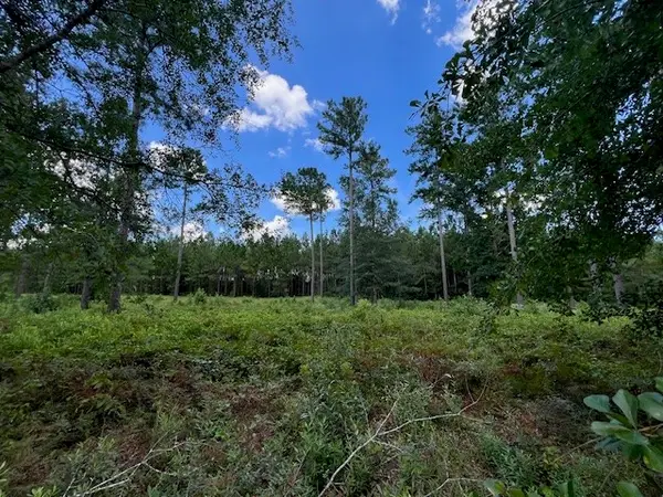 19 Windmill Palm, Brunswick, GA 31523