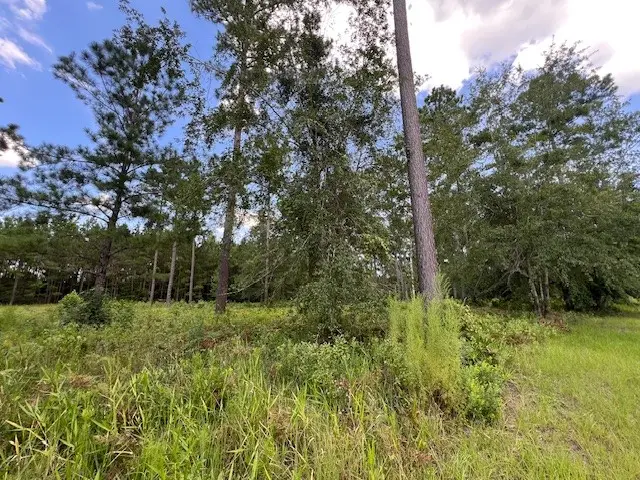 19 Windmill Palm, Brunswick, GA 31523 - #2