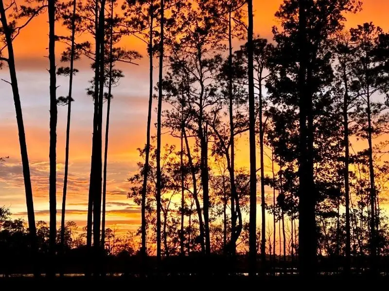 137 Ryan Nicholas Drive, Kingsland, GA 31548 - #3