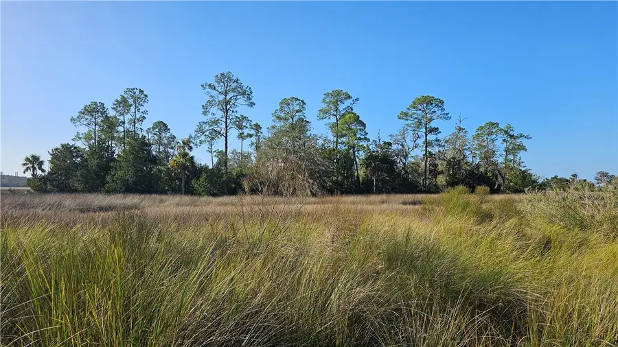 304 Burford Road, Brunswick, GA 31523 - #3