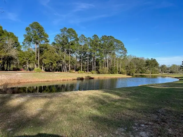 Lot 122 Divot Drive Ne, Townsend, GA 31331 - #3