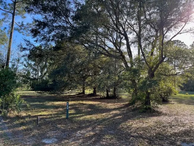 Lot 123 Divot Drive Ne, Townsend, GA 31331 - #3