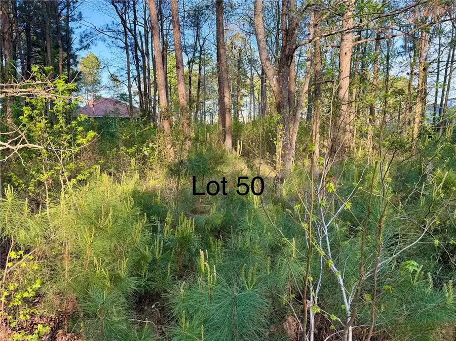 V/L 50 Eagle Crest Drive, Waverly, GA 31565 - #3