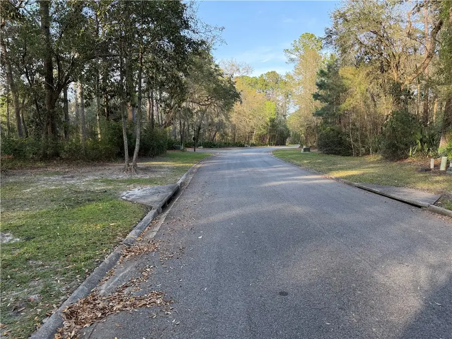 V/L 23 Eagle Crest Drive, Waverly, GA 31565 - #2