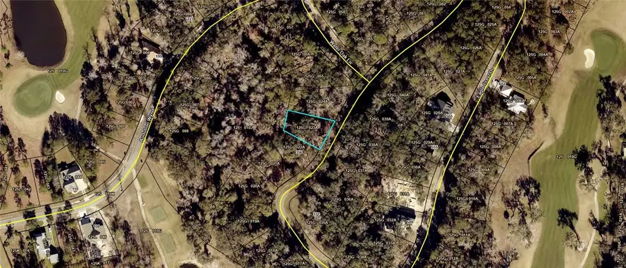 V/L 23 Eagle Crest Drive, Waverly, GA 31565 - #3