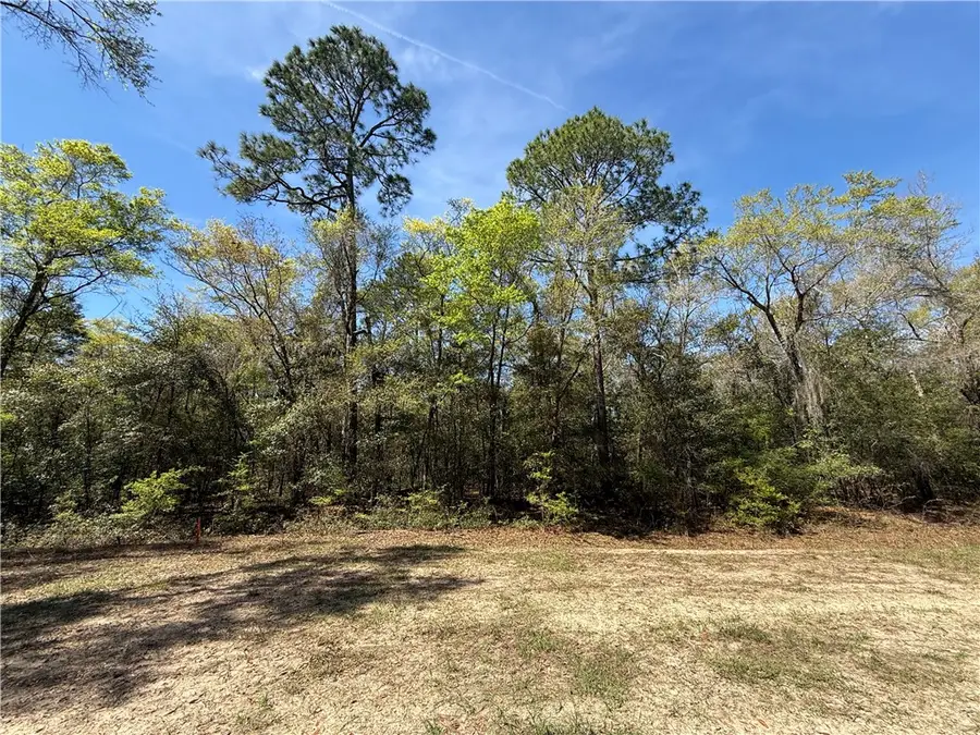 0 (Lot 4) Deer Court, Waverly, GA 31565 - #2