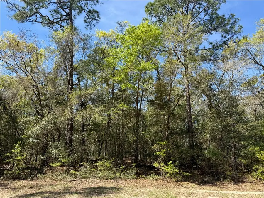 0 (Lot 4) Deer Court, Waverly, GA 31565 - #3