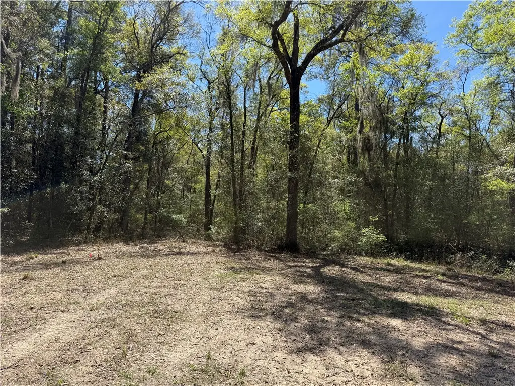 0 (Lot 5) Deer Court, Waverly, GA 31565 - #1