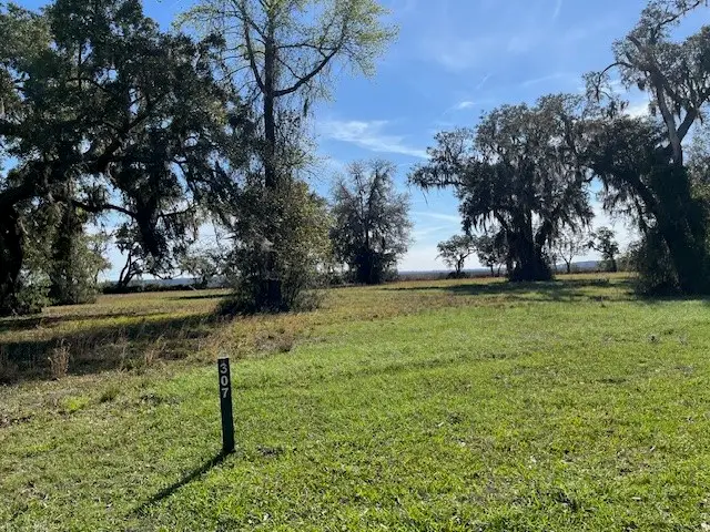 Lot 307 Coopers Point Drive, Townsend, GA 31331 - #2