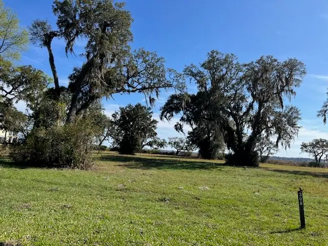 Lot 308 Coopers Point Drive, Townsend, GA 31331 - #3