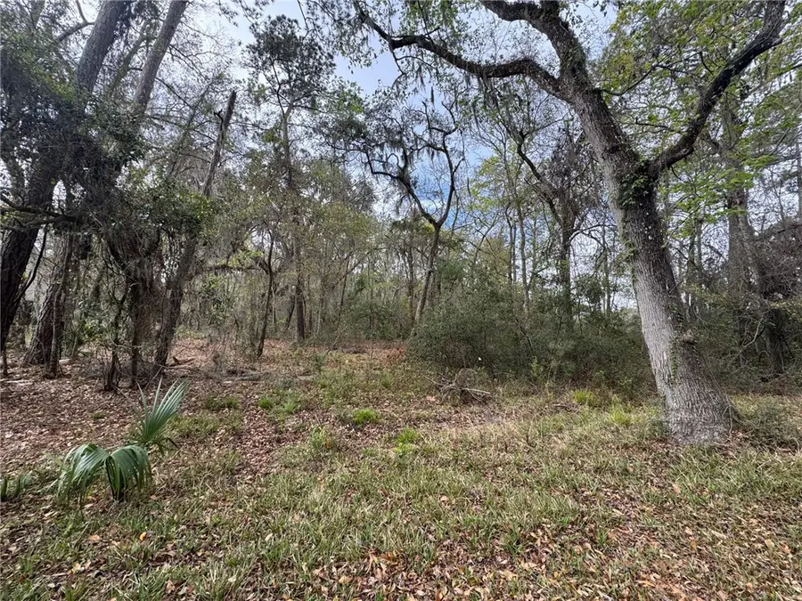 6001 Frederica Road, Saint Simons Island, GA 31522 - #2