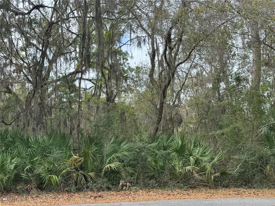 6001 Frederica Road, Saint Simons Island, GA 31522 - #3