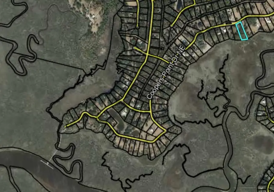 Lot 37 Cooper's Point Drive Ne, Townsend, GA 31331 - #3