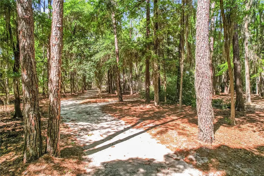 1647 W Black Island Road, Darien, GA 31305 - #2