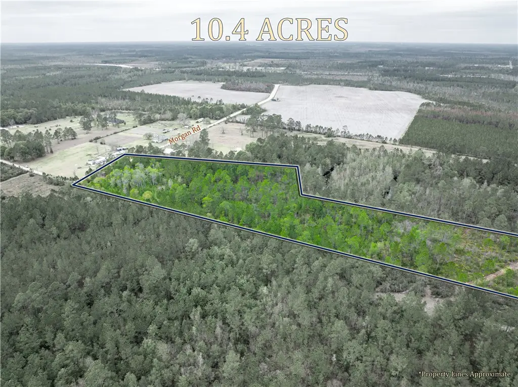0 Morgan Road, Waycross, GA 31503 - #1