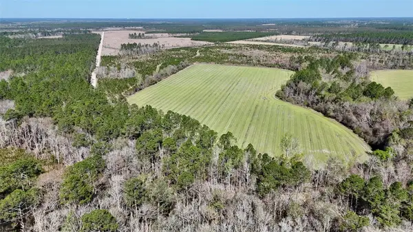 Tract 6 Ingram Road, Odum, GA 31555