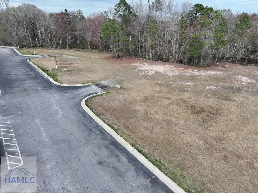 0 Savannah Highway, Jesup, GA 31545 - #2