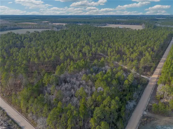 Tract 5 Reddish Road, Odum, GA 31555