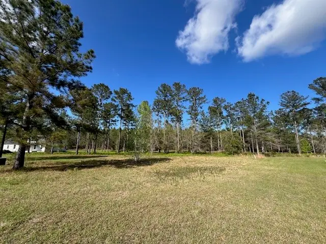 11 Windmill Palm, Brunswick, GA 31523 - #1