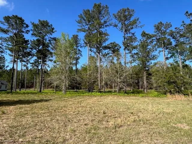 11 Windmill Palm, Brunswick, GA 31523 - #2