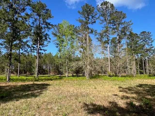 11 Windmill Palm, Brunswick, GA 31523 - #3