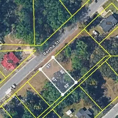 803 Bertha Street, Waycross, GA 31503