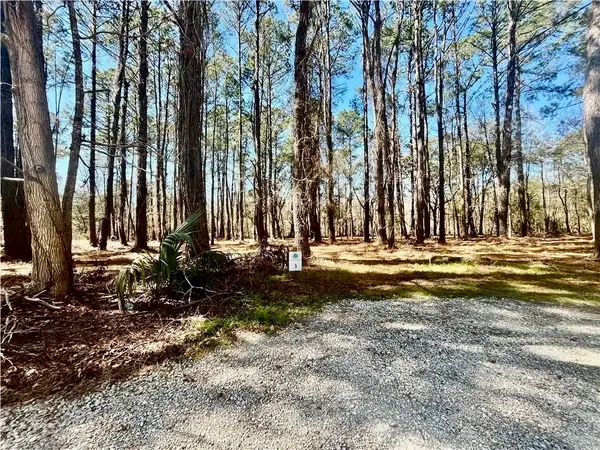 Lot 3 Osprey Cove, Darien, GA 31305