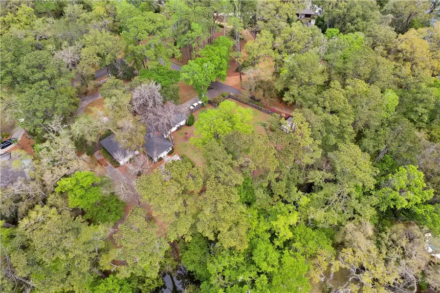 174 Saint Clair Drive, Saint Simons Island, GA 31522 - #3