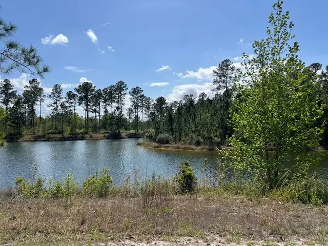 324 Salt Creek Way E, Brunswick, GA 31523 - #1