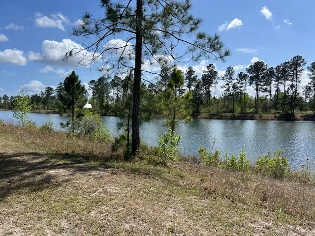 324 Salt Creek Way E, Brunswick, GA 31523 - #2