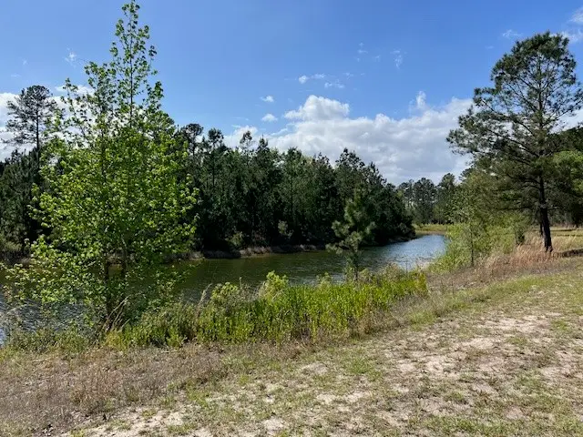 324 Salt Creek Way E, Brunswick, GA 31523 - #3