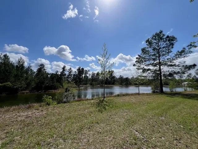 270 Salt Creek Way E, Brunswick, GA 31523 - #2