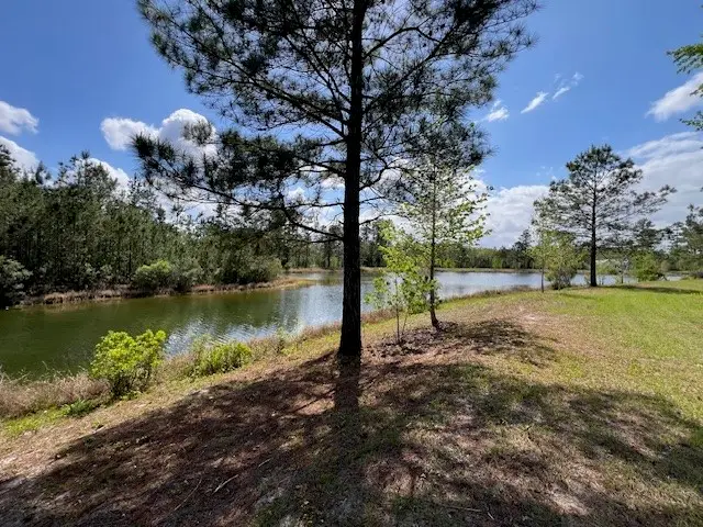 270 Salt Creek Way E, Brunswick, GA 31523 - #3