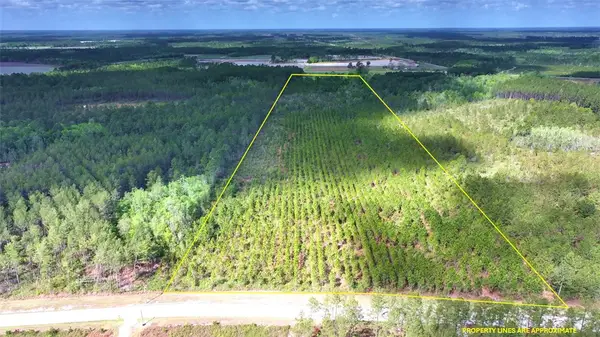 120 S Farms Edge Road, Manor, GA 31550
