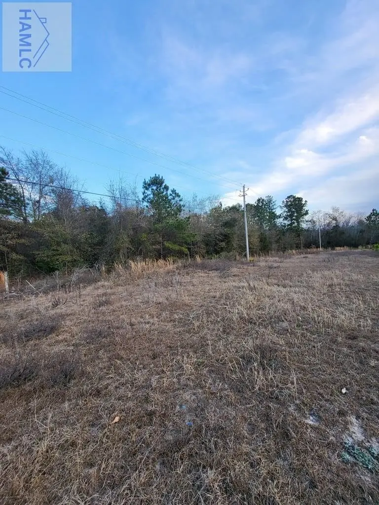 0 S First Street, Jesup, GA 31545 - #2