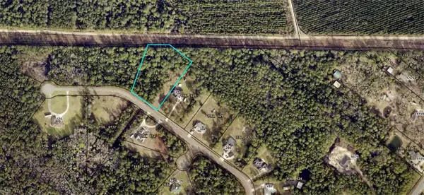 Lot 19 Serenity Farms Road, Woodbine, GA 31569