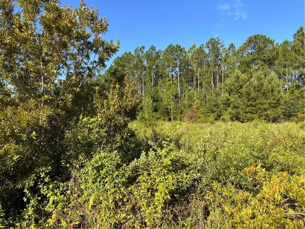 00 Horseshoe Cove Road, Waverly, GA 31565 - #1
