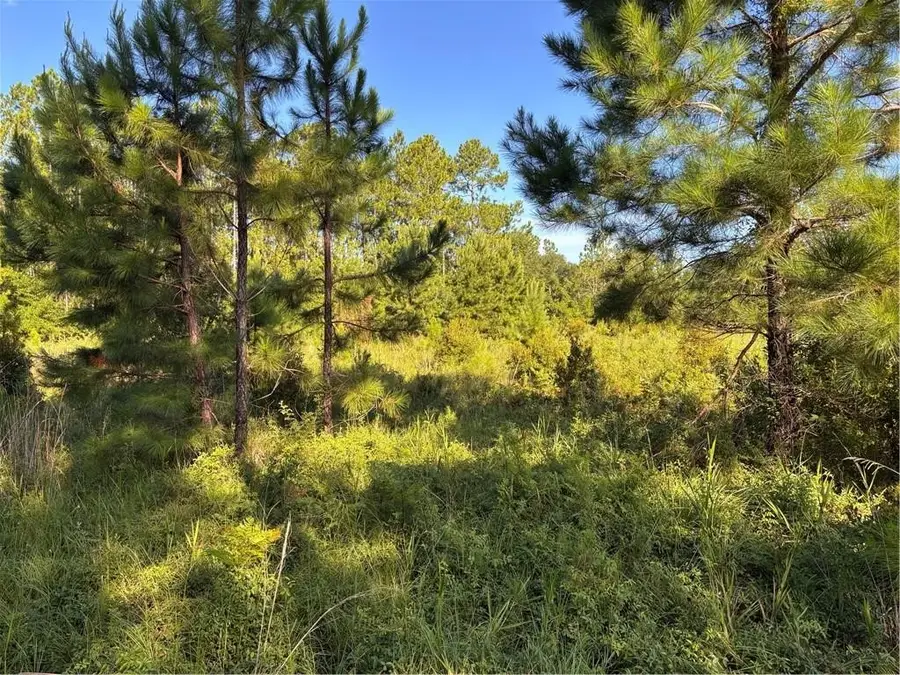 00 Horseshoe Cove Road, Waverly, GA 31565 - #2