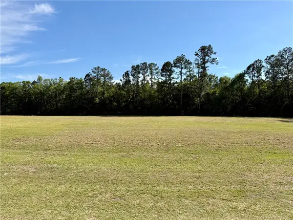 0 Tiger Island Lane, Woodbine, GA 31569