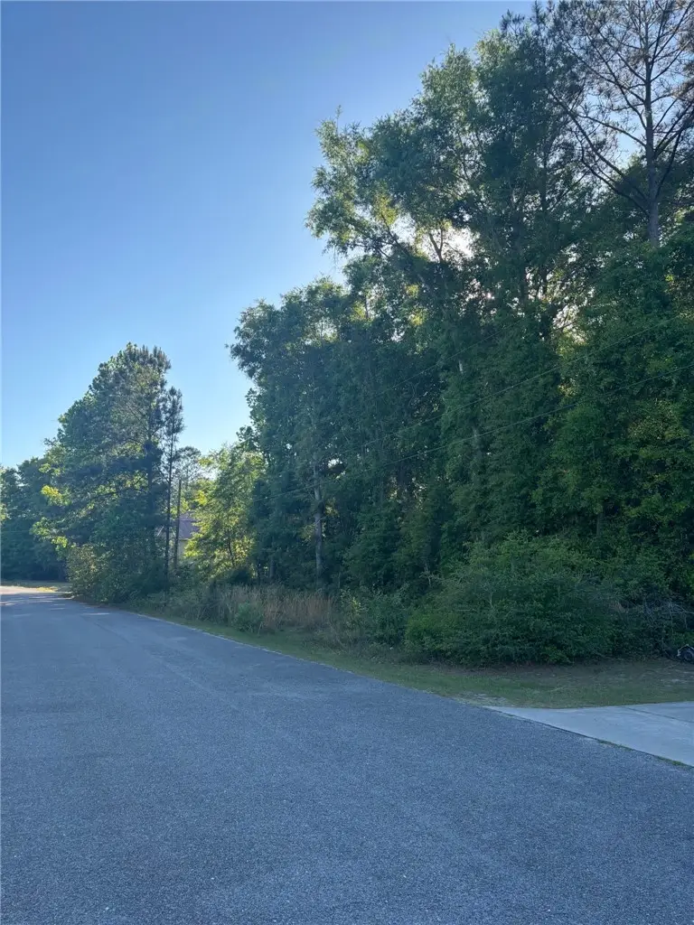 Lot 52 Pelican Lane Se, Townsend, GA 31331 - #2