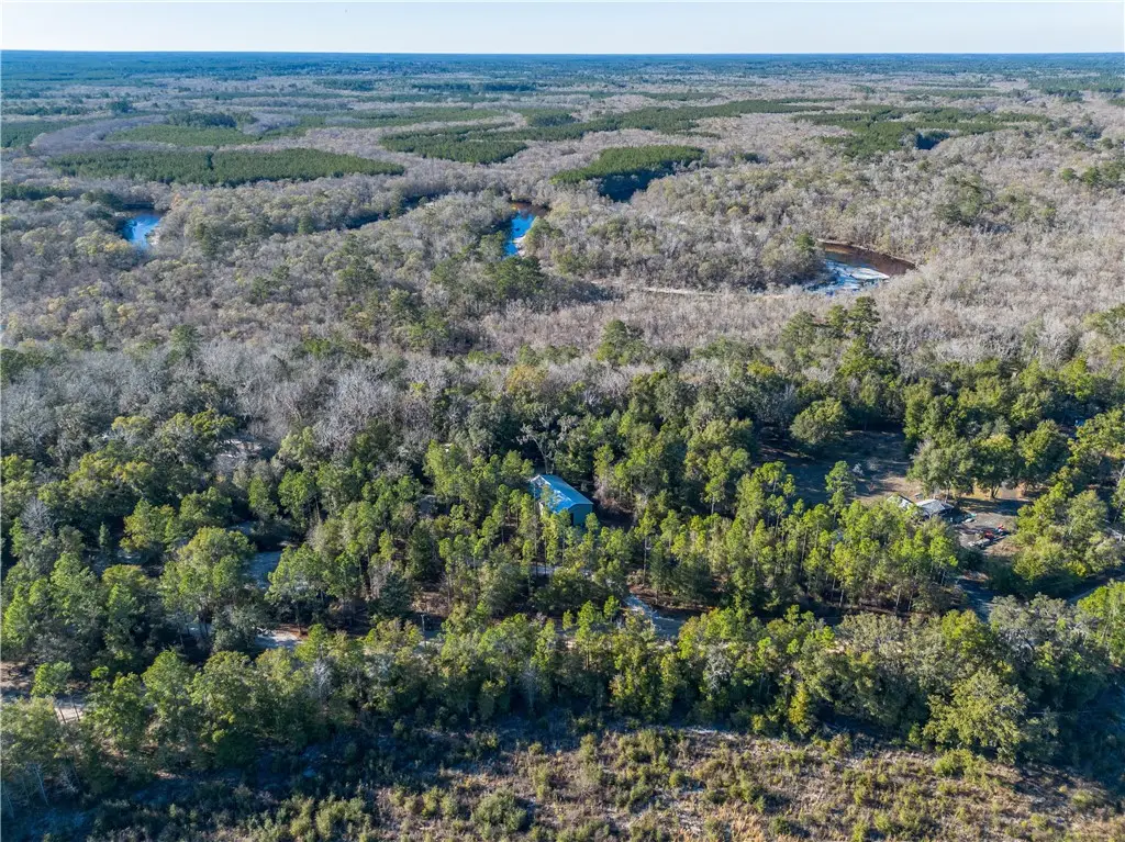 1320 Douglas Fish Camp Road, White Oak, GA 31568 - #1
